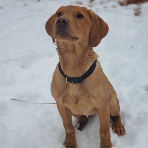 Meet your Posher, Nathaniel